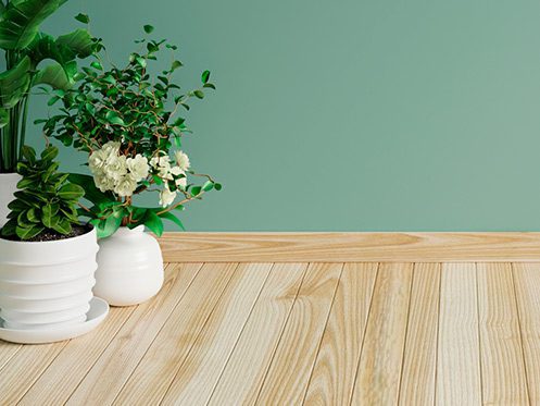 a imagem ilustra um ambiente com uma parede verde e um piso de madeira clara com jarros de plantas no chão