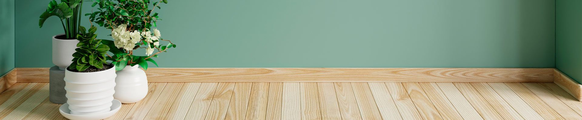 a imagem ilustra um ambiente com uma parede verde e um piso de madeira clara com jarros de plantas no chão