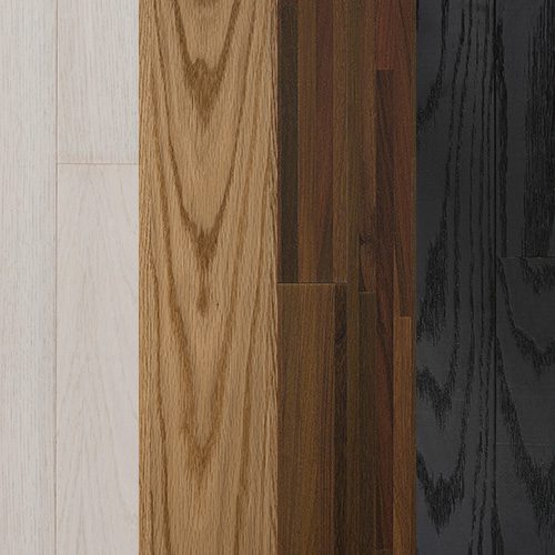 Quatro amostras de piso de madeira lado a lado, variando do tom claro ao escuro: branco, caramelo, marrom e preto, com diferentes texturas.